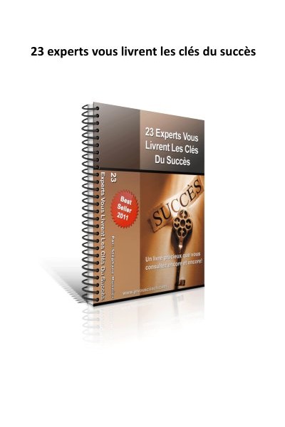 23 experts vous livrent les cles du succes en Webmarketing