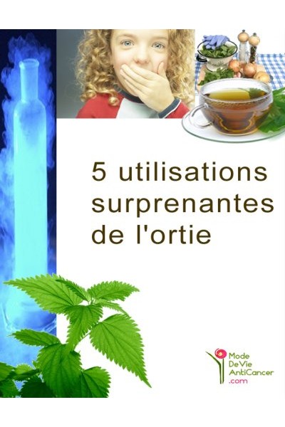 5 utilisations surprenantes de l ortie