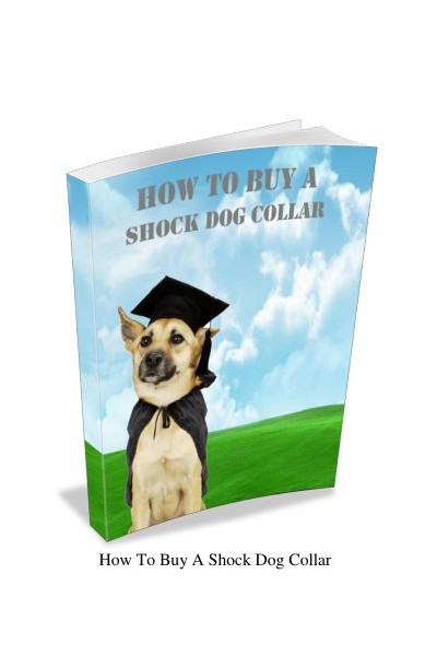 BuyingAShockDogCollar