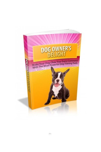 L&rsquo;C ºducation de votre chien