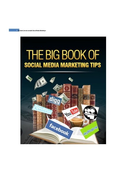 Le Grand Livre de conseils Media Marketing
