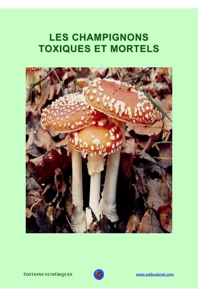 Les champignons toxiques et mortels