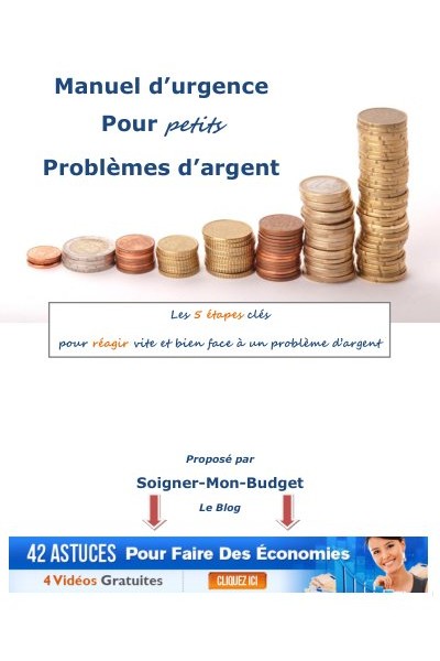 Manuel d urgence pour petits problemes d argent
