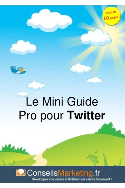 Mini Guide Twitter Pro ConseilsMarketing