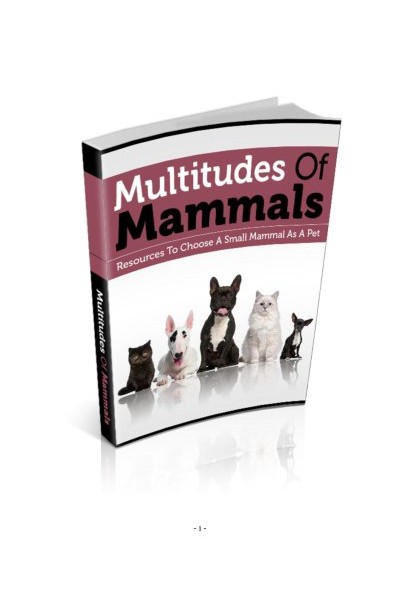 Multitudes Of Mammals