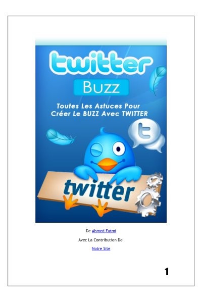 Rapport twitter