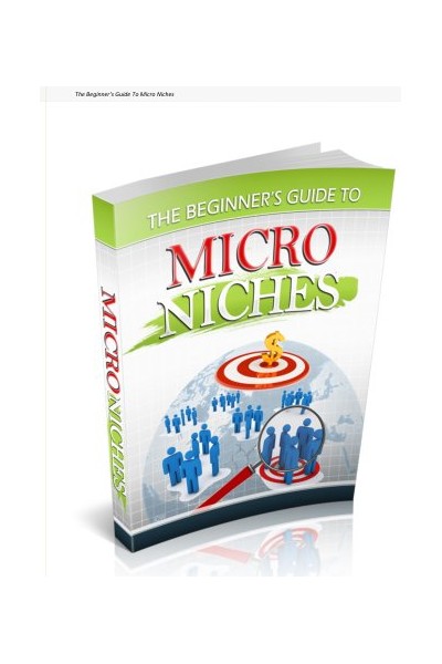 The Beginner&rsquo;s Guide to Micro Niches
