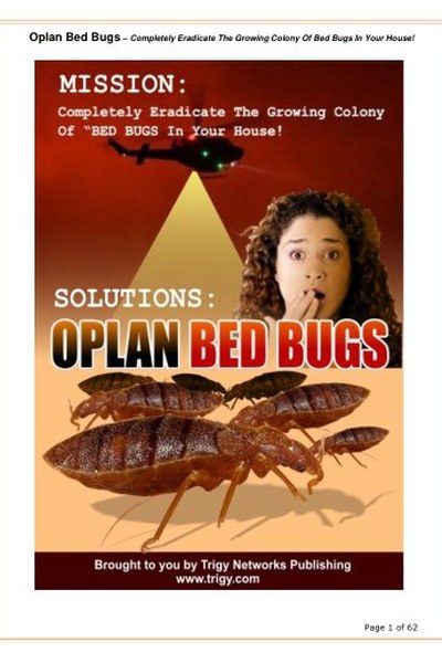 Bugs