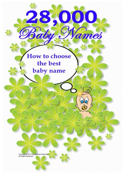 28000 Baby Names