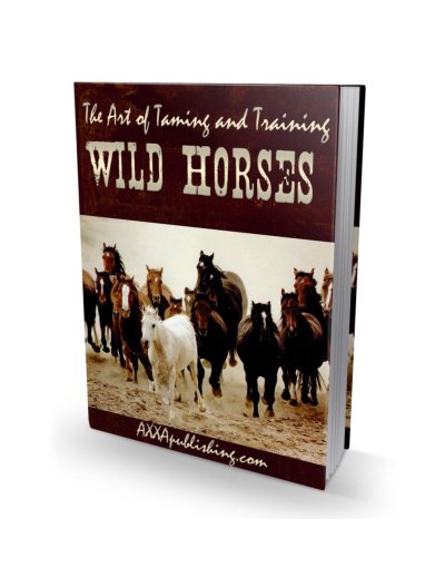 WildHorses